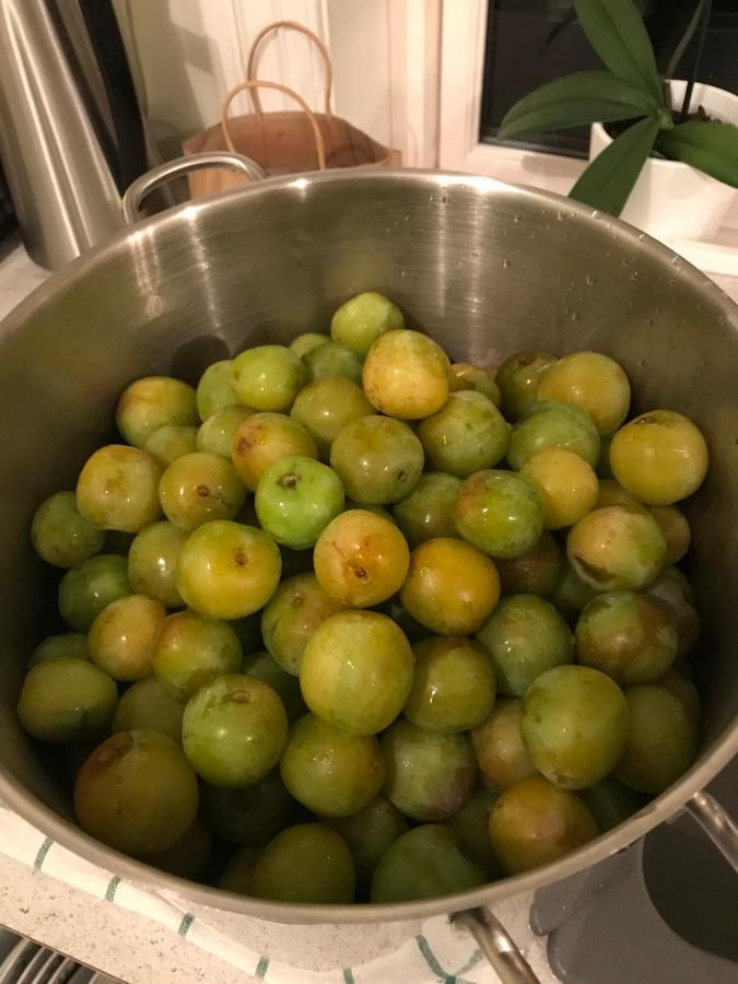 伯 Gardsturisme Sonstebo酒店 外观 照片